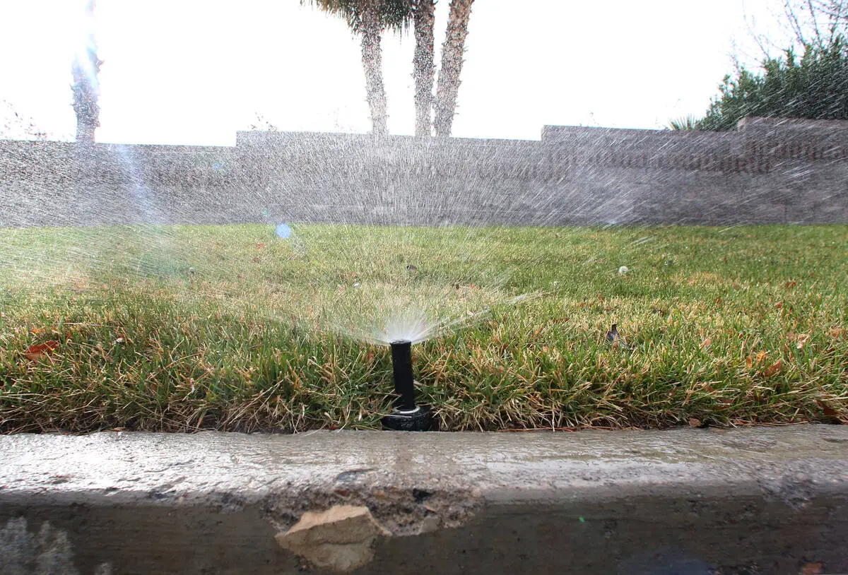 Lawn Care Tips for Water Conservation in Las Vegas Amid Rising Usage