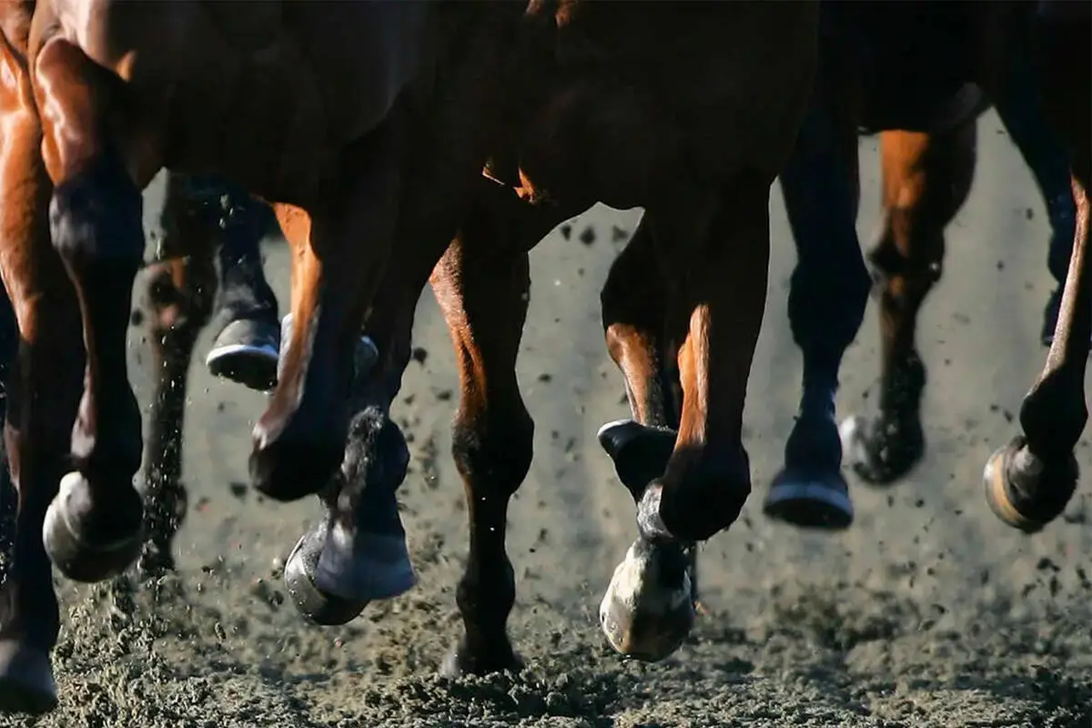 Nevada Gaming Board Enforces Tough Penalties on Horse Trainer for Drug Violations