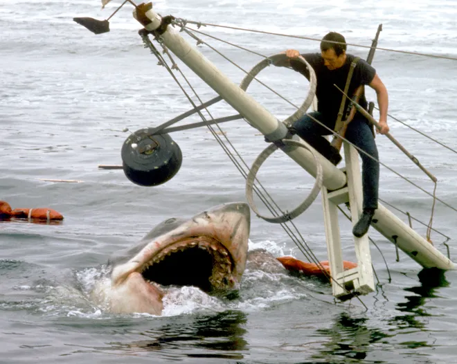 Top 10 Shark Movies Of All-Time