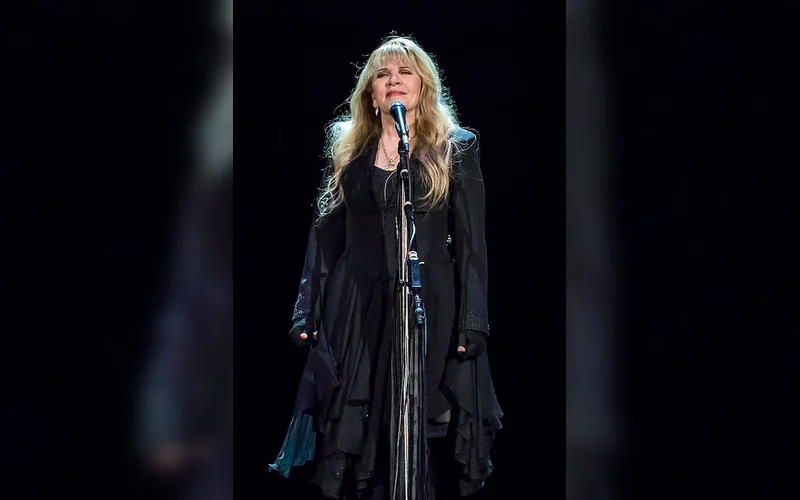 Stevie Nicks Postpones Concerts Due to Injury