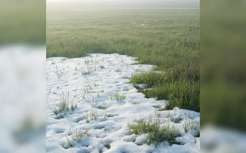 Daily Faith Recharge: Seasons of Becoming